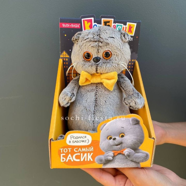 Кот Басик с бабочкой в Санкт-Петербурге