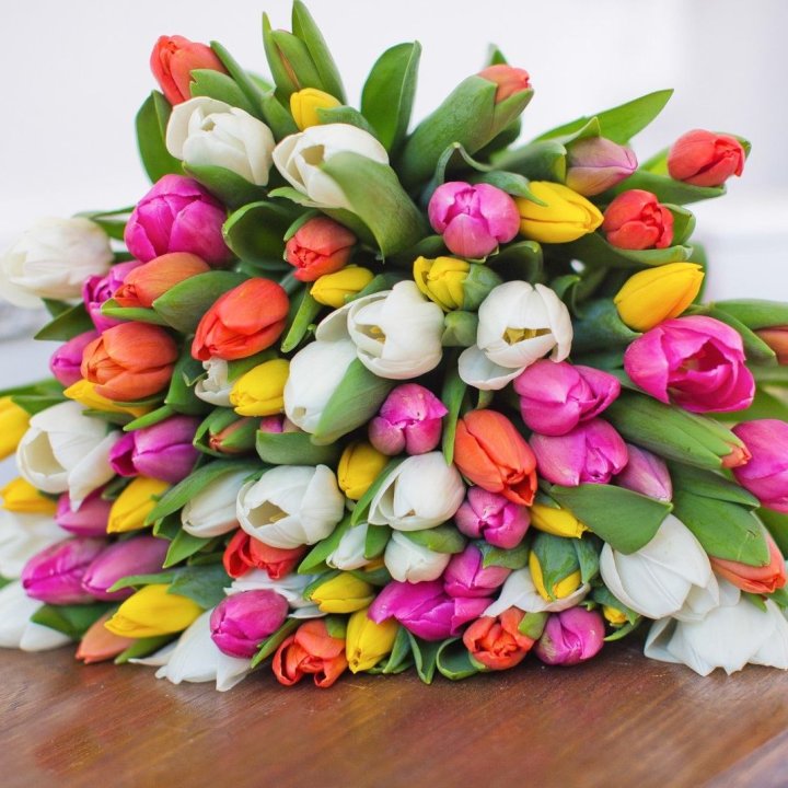 79 тюльпанов "Рандом" в Санкт-Петербурге