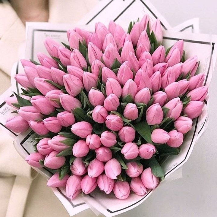 101 розовый тюльпан в белом в Санкт-Петербурге