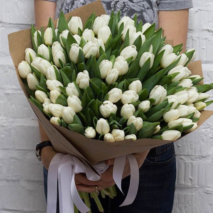 101 тюльпан сноу в Санкт-Петербурге