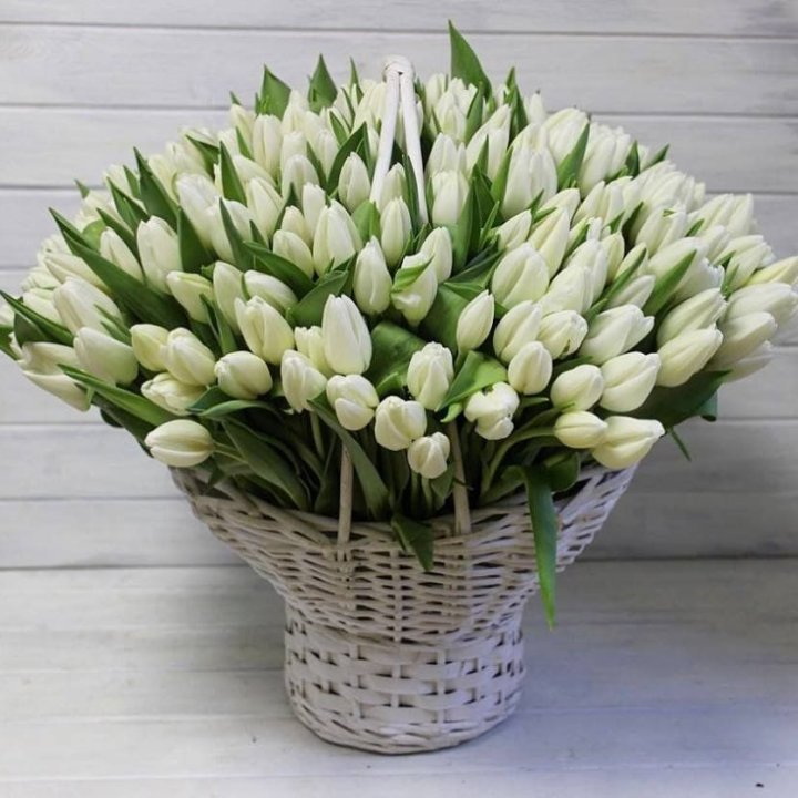 Корзина из 151 тюльпана в Санкт-Петербурге