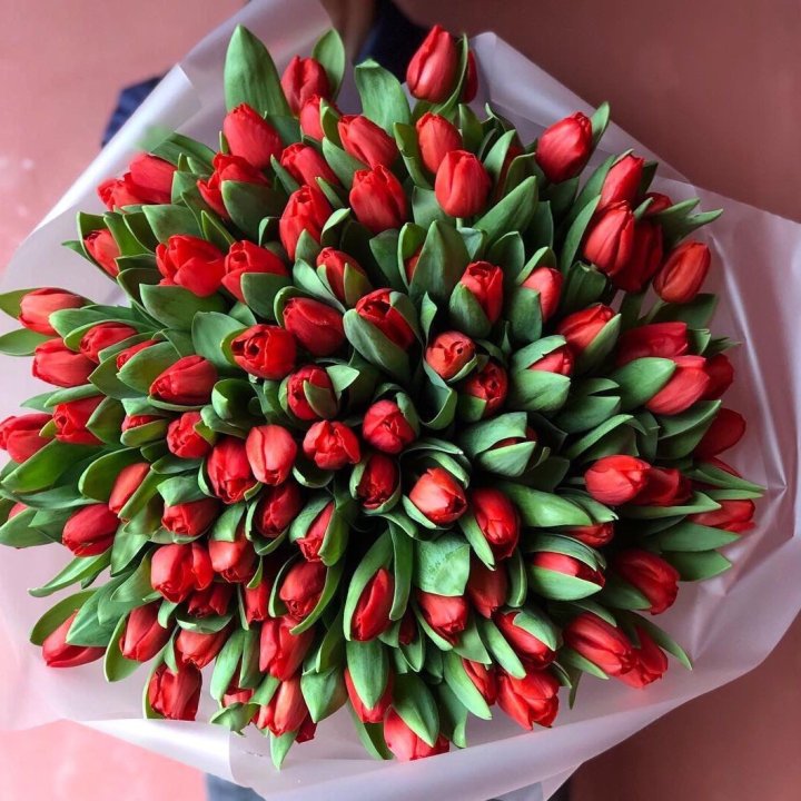 101 красный тюльпан в Санкт-Петербурге